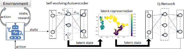Figure 1 for Self-evolving Autoencoder Embedded Q-Network