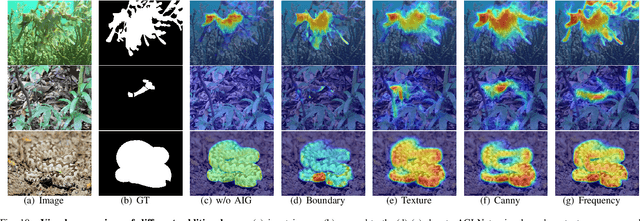 Figure 3 for Adaptive Guidance Learning for Camouflaged Object Detection