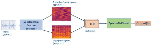 Figure 3 for EMG Signal Classification for Neuromuscular Disorders with Attention-Enhanced CNN