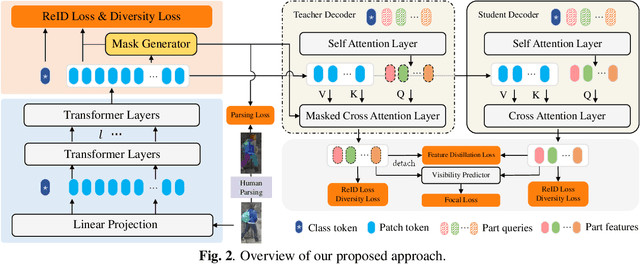 Figure 2 for Part Representation Learning with Teacher-Student Decoder for Occluded Person Re-identification