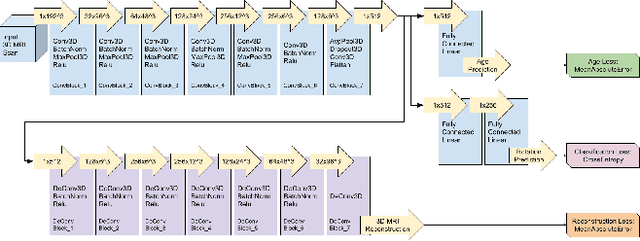 Figure 2 for Self-Supervised Pretext Tasks for Alzheimer's Disease Classification using 3D Convolutional Neural Networks on Large-Scale Synthetic Neuroimaging Dataset