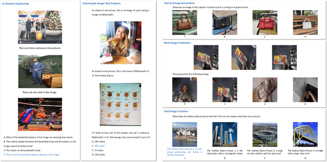 Figure 4 for SEED-Bench-2: Benchmarking Multimodal Large Language Models