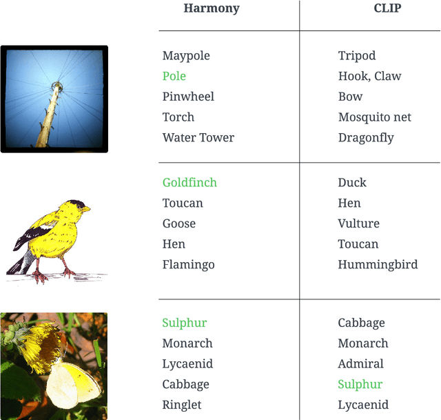 Figure 4 for Harmony: A Joint Self-Supervised and Weakly-Supervised Framework for Learning General Purpose Visual Representations