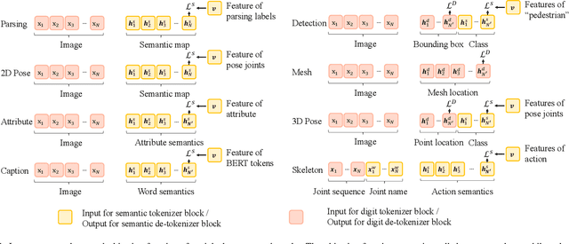 Figure 4 for Hulk: A Universal Knowledge Translator for Human-Centric Tasks