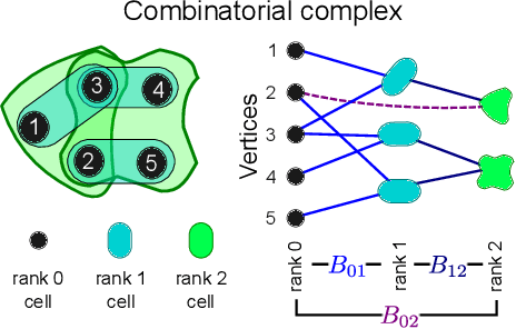 Figure 2 for Combinatorial Complexes: Bridging the Gap Between Cell Complexes and Hypergraphs