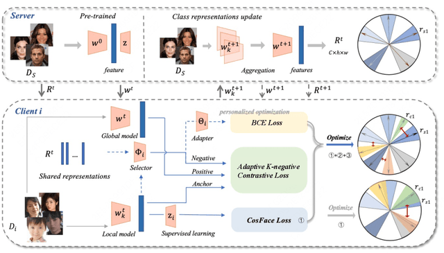 Figure 1 for AdaFedFR: Federated Face Recognition with Adaptive Inter-Class Representation Learning