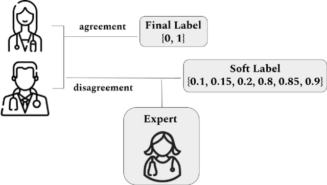 Figure 1 for Data-Centric Label Smoothing for Explainable Glaucoma Screening from Eye Fundus Images