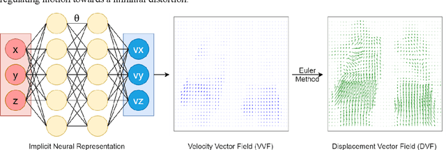 Figure 1 for Continuous sPatial-Temporal Deformable Image Registration (CPT-DIR) for motion modelling in radiotherapy: beyond classic voxel-based methods