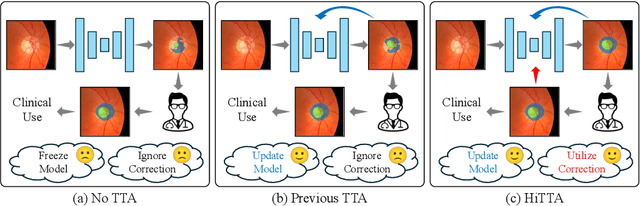 Figure 1 for Towards Clinician-Preferred Segmentation: Leveraging Human-in-the-Loop for Test Time Adaptation in Medical Image Segmentation