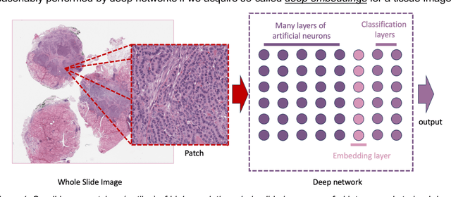 Figure 1 for On Image Search in Histopathology