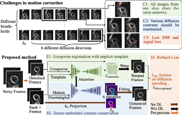 Figure 1 for Groupwise Deformable Registration of Diffusion Tensor Cardiovascular Magnetic Resonance: Disentangling Diffusion Contrast, Respiratory and Cardiac Motions