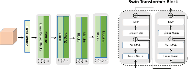 Figure 1 for FaultSeg Swin-UNETR: Transformer-Based Self-Supervised Pretraining Model for Fault Recognition