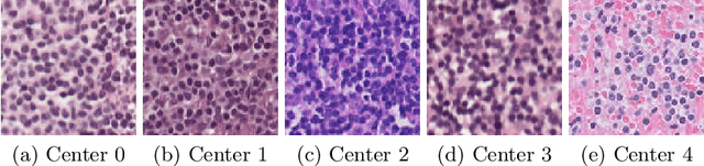 Figure 3 for ConDiSR: Contrastive Disentanglement and Style Regularization for Single Domain Generalization