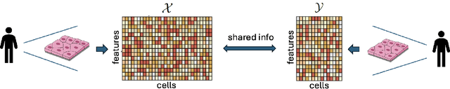 Figure 1 for Kernel spectral joint embeddings for high-dimensional noisy datasets using duo-landmark integral operators