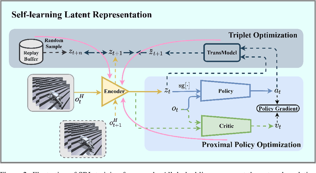 Figure 2 for SLR: Learning Quadruped Locomotion without Privileged Information