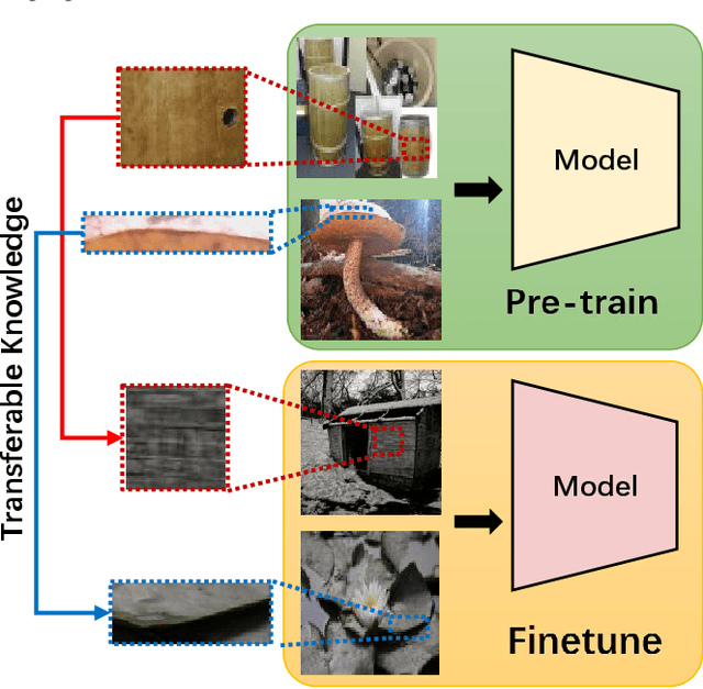 Figure 1 for Adaptive Semantic Consistency for Cross-domain Few-shot Classification