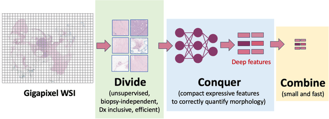 Figure 3 for Foundation Models and Information Retrieval in Digital Pathology