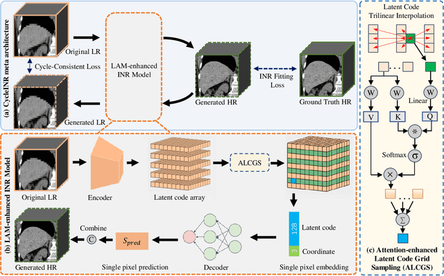 Figure 3 for CycleINR: Cycle Implicit Neural Representation for Arbitrary-Scale Volumetric Super-Resolution of Medical Data