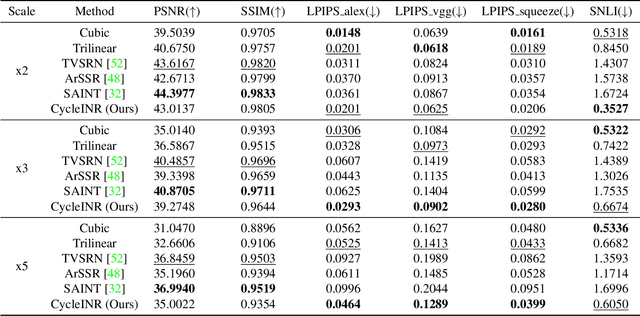 Figure 2 for CycleINR: Cycle Implicit Neural Representation for Arbitrary-Scale Volumetric Super-Resolution of Medical Data