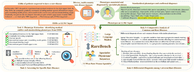 Figure 3 for RareBench: Can LLMs Serve as Rare Diseases Specialists?