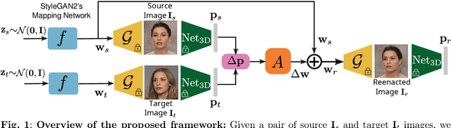 Figure 1 for One-shot Neural Face Reenactment via Finding Directions in GAN's Latent Space