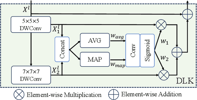 Figure 1 for D-Net: Dynamic Large Kernel with Dynamic Feature Fusion for Volumetric Medical Image Segmentation