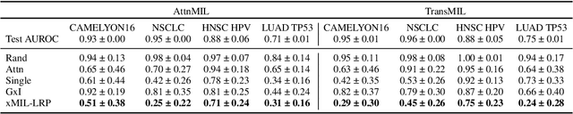 Figure 4 for xMIL: Insightful Explanations for Multiple Instance Learning in Histopathology