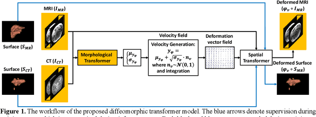 Figure 1 for Diffeomorphic Transformer-based Abdomen MRI-CT Deformable Image Registration