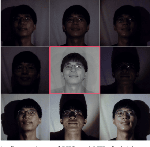 Figure 1 for Multi-Energy Guided Image Translation with Stochastic Differential Equations for Near-Infrared Facial Expression Recognition