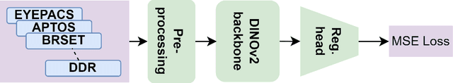 Figure 1 for DRStageNet: Deep Learning for Diabetic Retinopathy Staging from Fundus Images