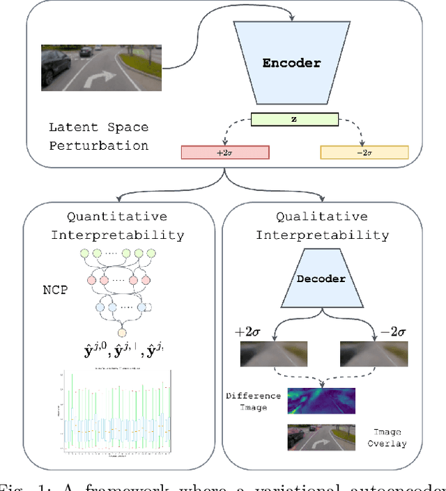 Figure 1 for Exploring Latent Pathways: Enhancing the Interpretability of Autonomous Driving with a Variational Autoencoder