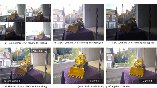 Figure 1 for Bilateral Guided Radiance Field Processing