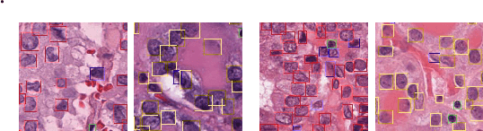 Figure 3 for Revisiting Adaptive Cellular Recognition Under Domain Shifts: A Contextual Correspondence View