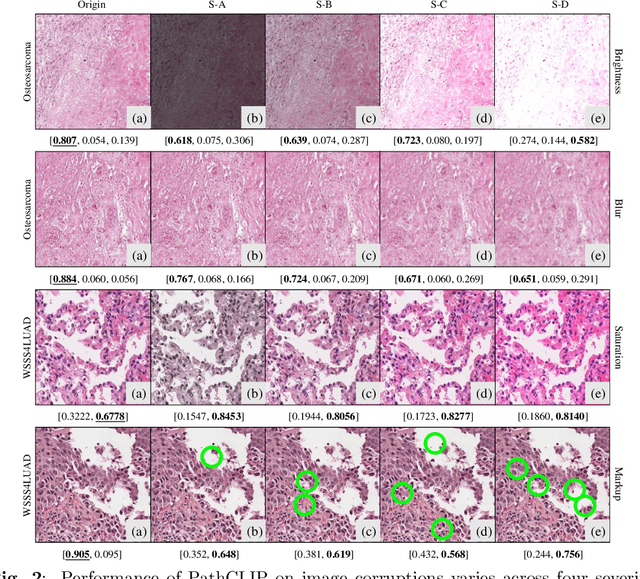 Figure 3 for Benchmarking PathCLIP for Pathology Image Analysis