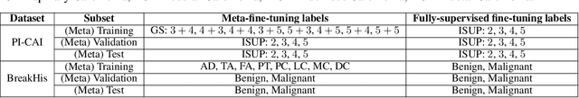 Figure 2 for Boosting Few-Shot Learning with Disentangled Self-Supervised Learning and Meta-Learning for Medical Image Classification