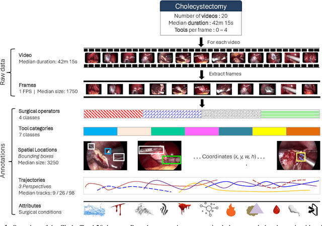 Figure 1 for CholecTrack20: A Dataset for Multi-Class Multiple Tool Tracking in Laparoscopic Surgery