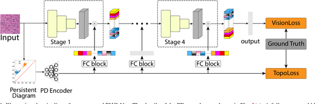 Figure 1 for PHG-Net: Persistent Homology Guided Medical Image Classification