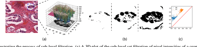 Figure 2 for PHG-Net: Persistent Homology Guided Medical Image Classification