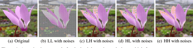 Figure 1 for WaveAttack: Asymmetric Frequency Obfuscation-based Backdoor Attacks Against Deep Neural Networks