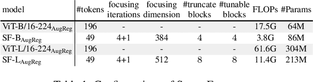 Figure 2 for Bootstrapping SparseFormers from Vision Foundation Models