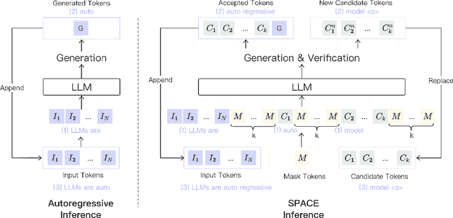 Figure 1 for Generation Meets Verification: Accelerating Large Language Model Inference with Smart Parallel Auto-Correct Decoding