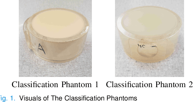 Figure 1 for Machine-to-Machine Transfer Function in Deep Learning-Based Quantitative Ultrasound