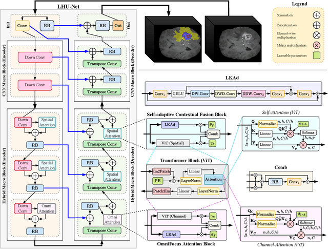 Figure 3 for LHU-Net: A Light Hybrid U-Net for Cost-Efficient, High-Performance Volumetric Medical Image Segmentation