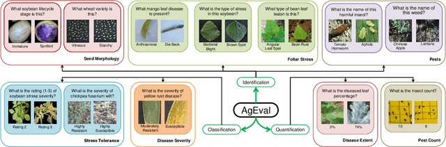 Figure 1 for AgEval: A Benchmark for Zero-Shot and Few-Shot Plant Stress Phenotyping with Multimodal LLMs