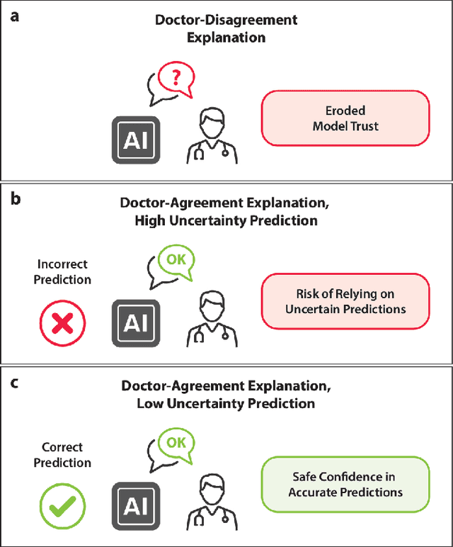 Figure 1 for Can Physician Judgment Enhance Model Trustworthiness? A Case Study on Predicting Pathological Lymph Nodes in Rectal Cancer