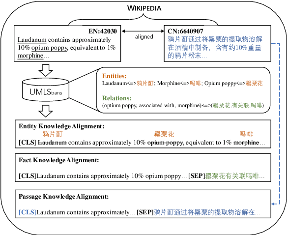 Figure 1 for KBioXLM: A Knowledge-anchored Biomedical Multilingual Pretrained Language Model