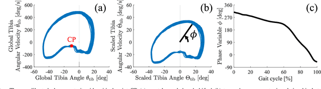 Figure 2 for Hybrid Volitional Control of a Robotic Transtibial Prosthesis using a Phase Variable Impedance Controller