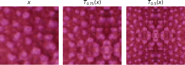 Figure 4 for Self-Supervised Learning for Image Super-Resolution and Deblurring