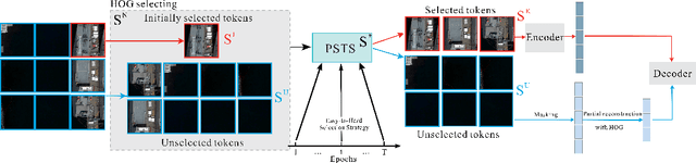 Figure 3 for Scaling Efficient Masked Autoencoder Learning on Large Remote Sensing Dataset