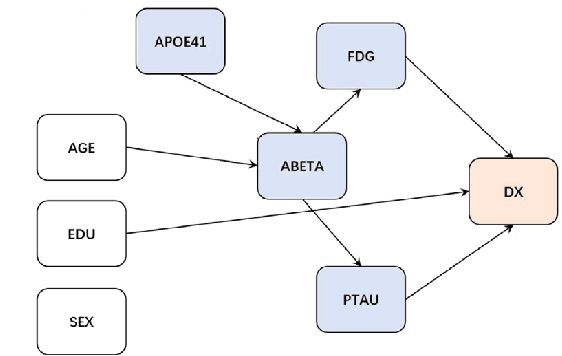 Figure 3 for CAGE: Causality-Aware Shapley Value for Global Explanations